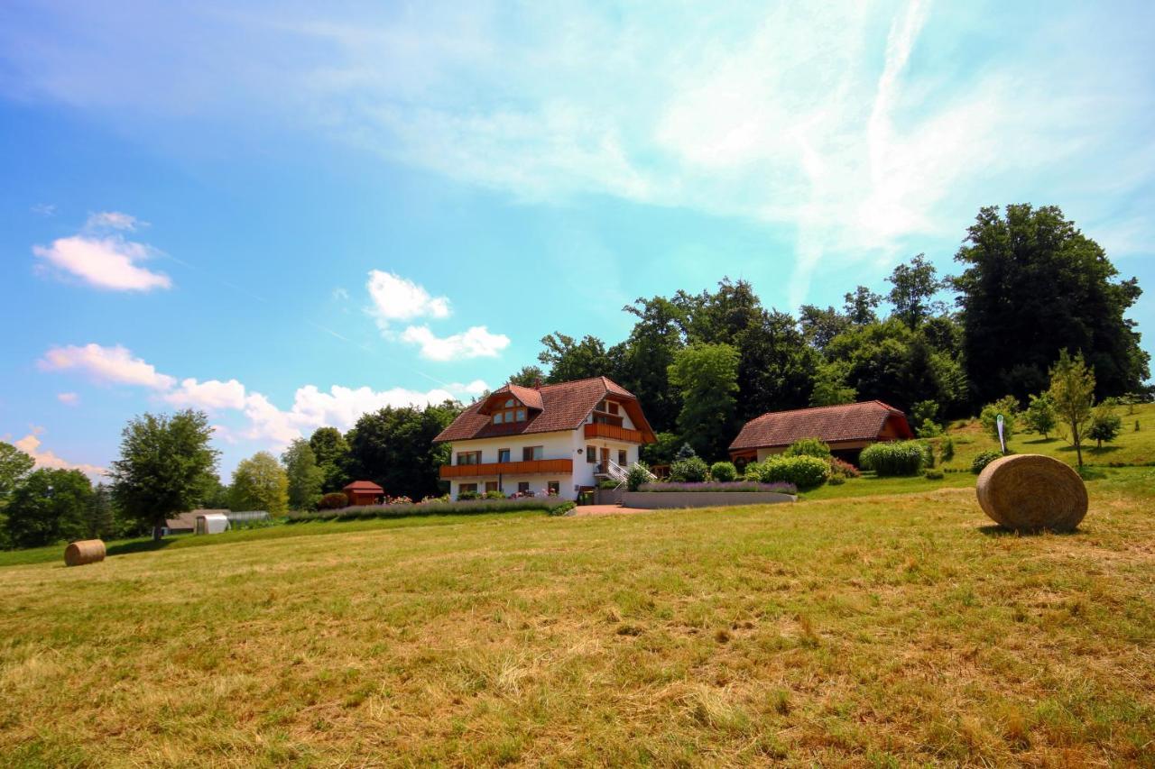 Villa Katarina Mokronog Exteriör bild