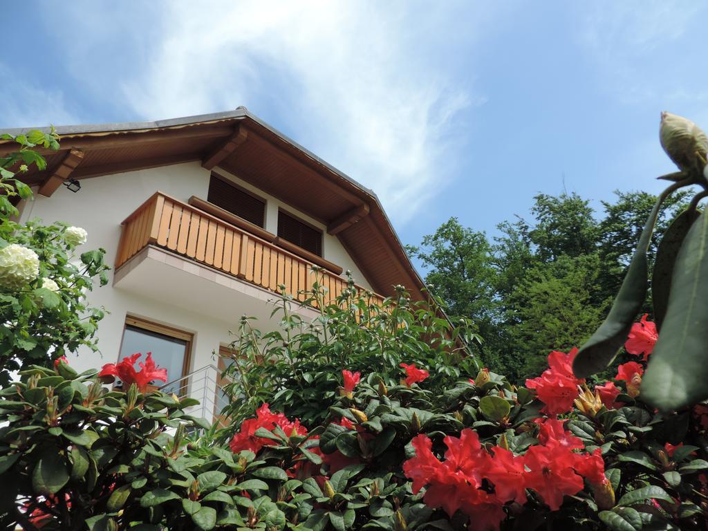 Villa Katarina Mokronog Exteriör bild