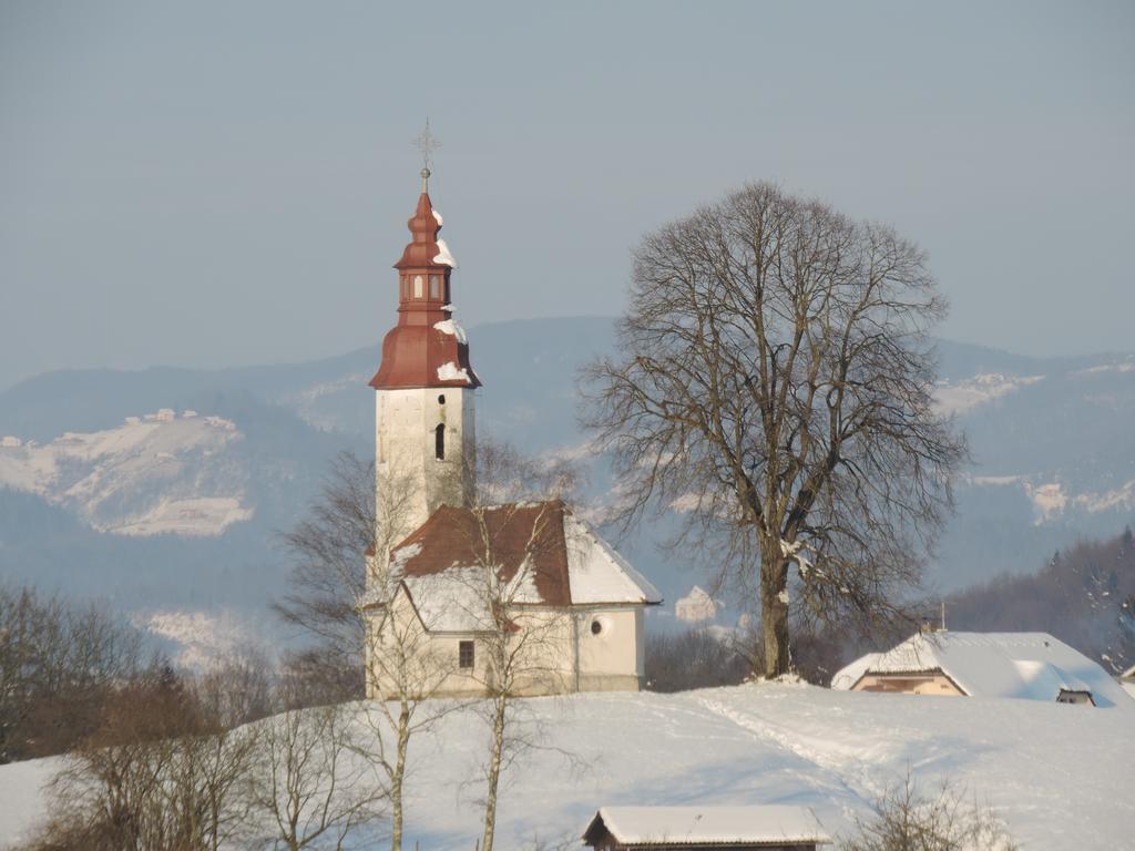Villa Katarina Mokronog Exteriör bild
