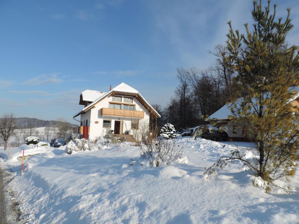 Villa Katarina Mokronog Exteriör bild