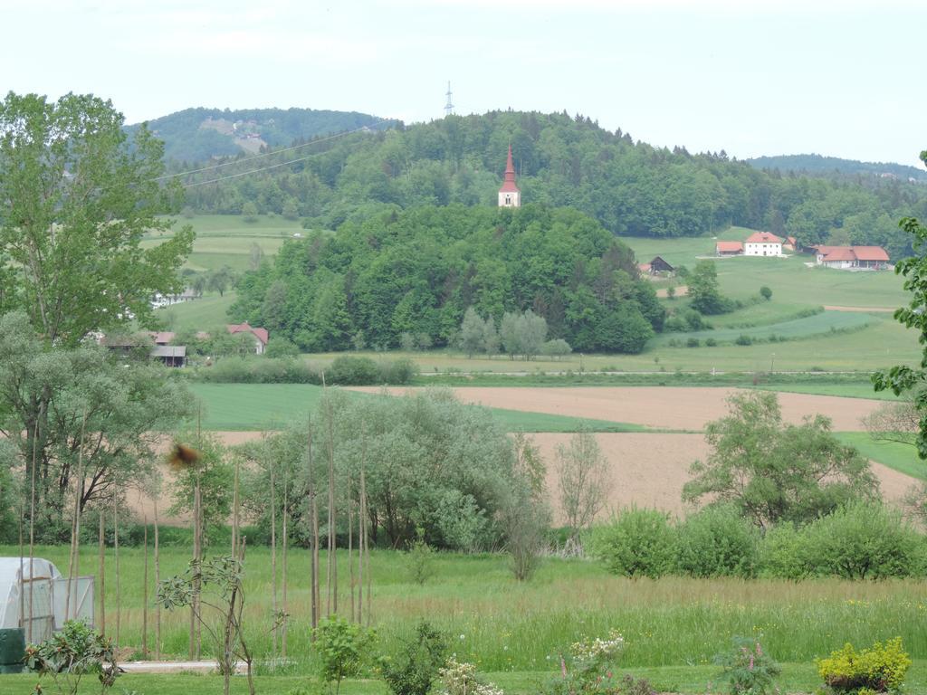 Villa Katarina Mokronog Exteriör bild